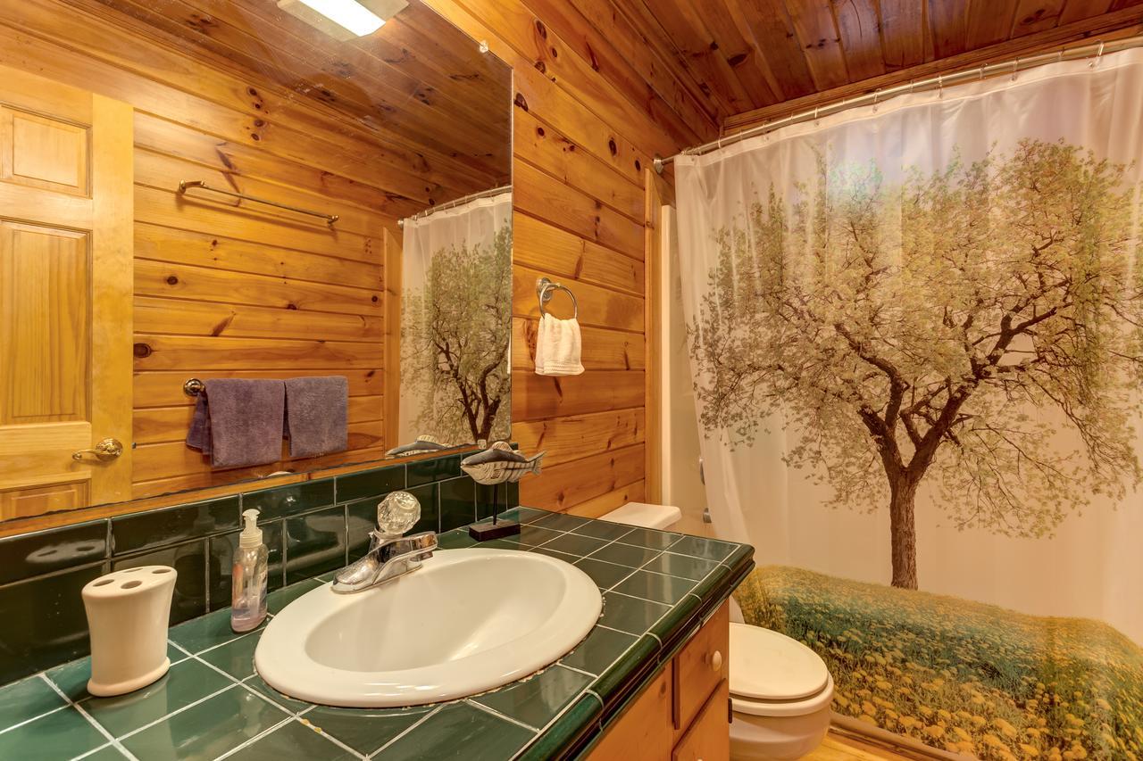 River Ranch Ellijay Extérieur photo
